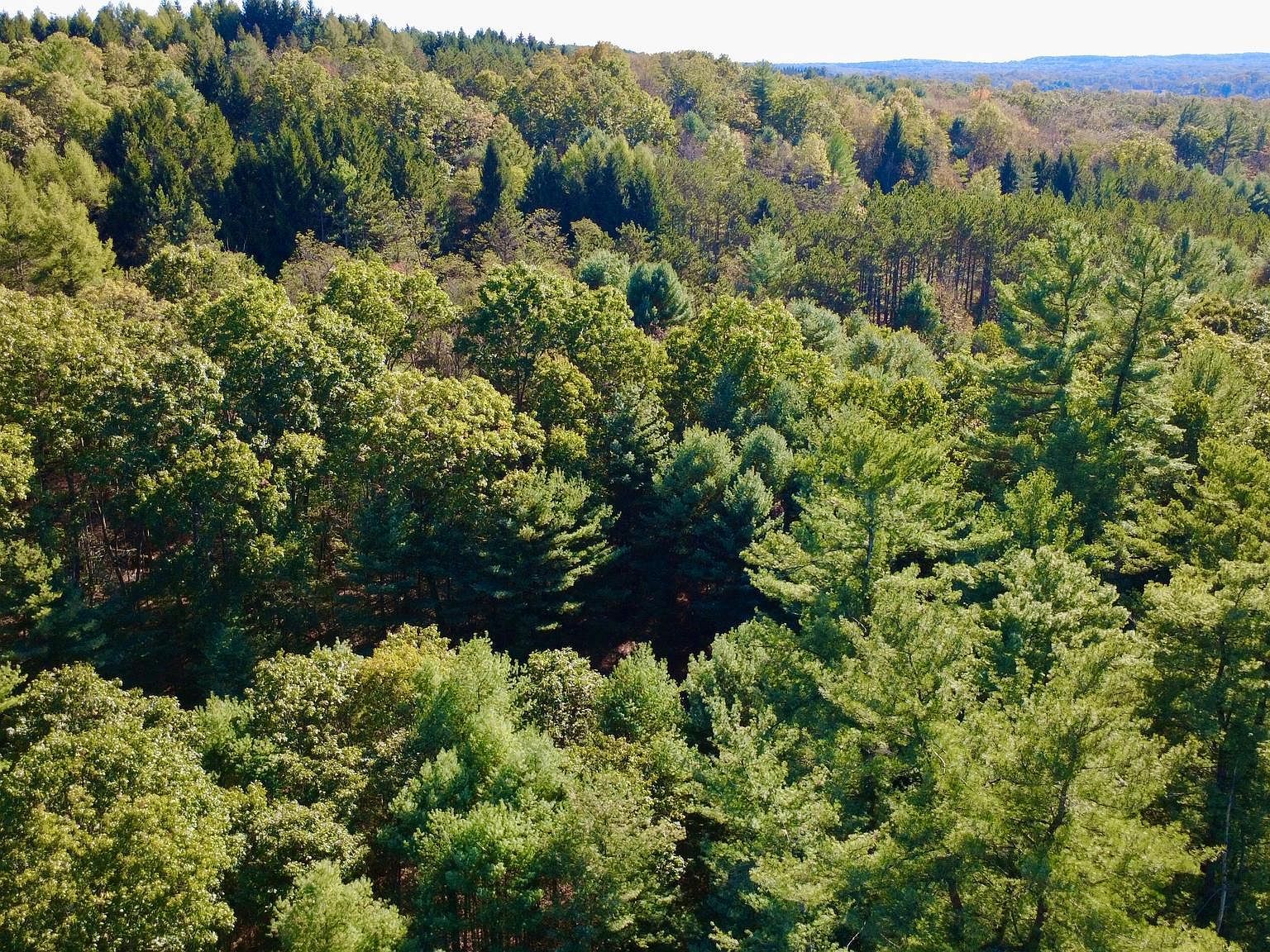 0 Pine Glen Rd Karthaus, PA 16845 - Thumbnail 4