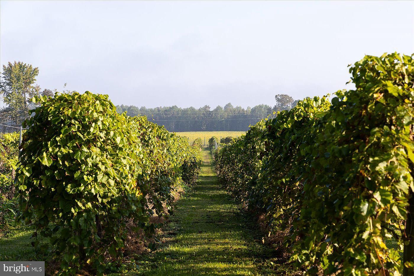 667 Hustle Rd Hustle, VA 22476 - Thumbnail 4