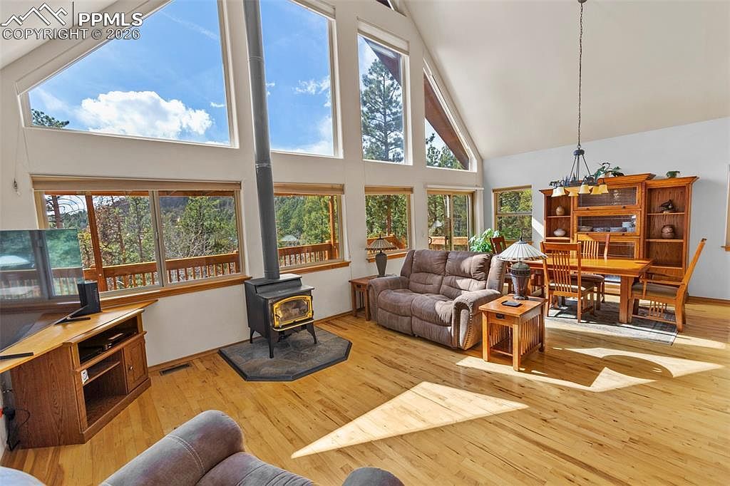 595 Bird Point Rd Florissant, CO 80816 - Thumbnail 4