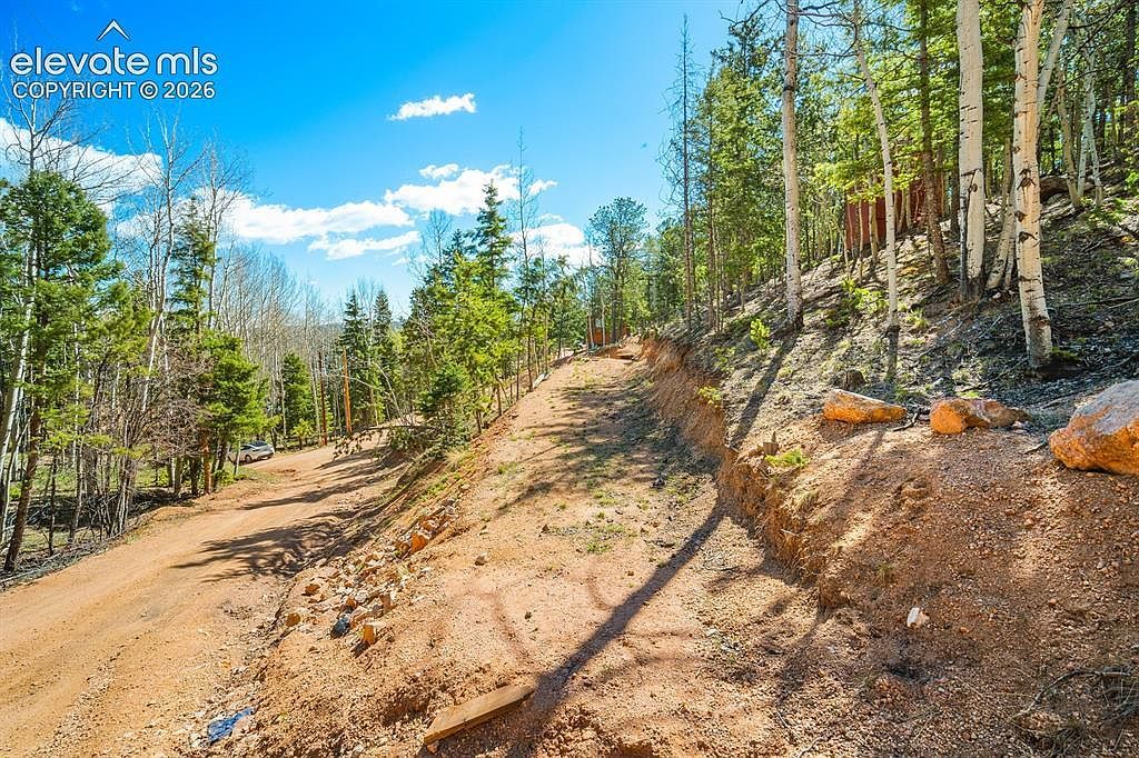 413 Wakanda Trl Woodland Park, CO 80863 - Thumbnail 4