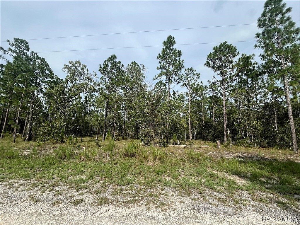 0 SE 133rd Ave, Dunnellon, FL, 34431 - Thumbnail 4
