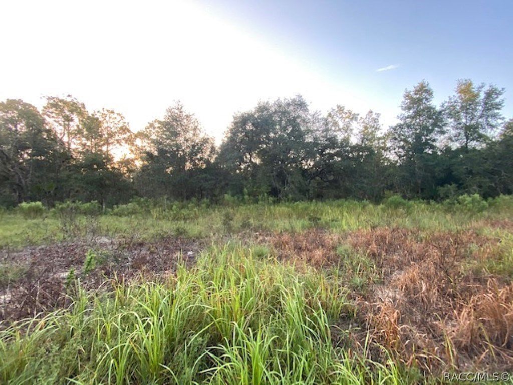 6075 N Lecanto Hwy Beverly Hills, FL 34465 - Thumbnail 4