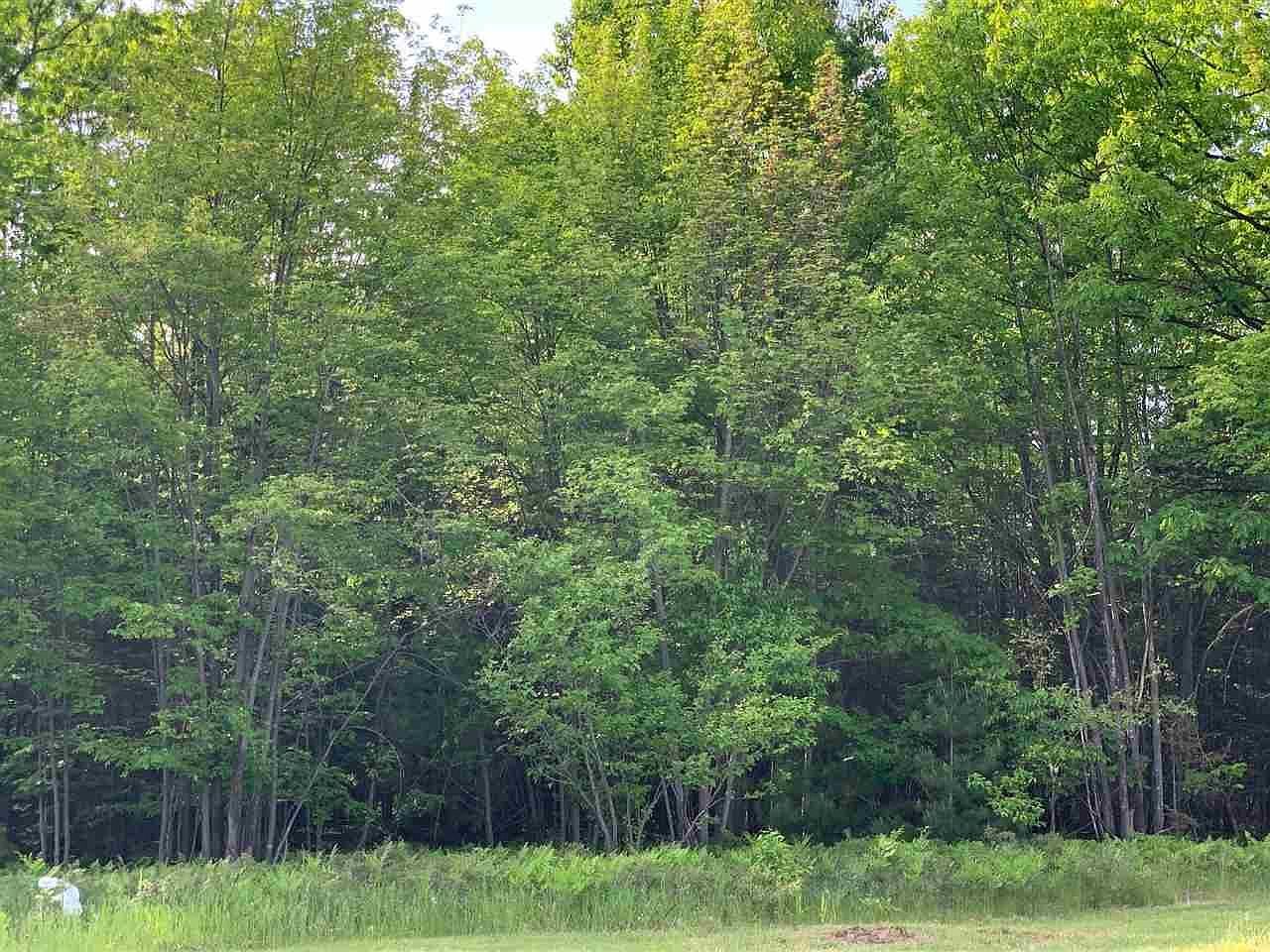 W Houghton Lake Dr Houghton Lake, MI 48629 - Thumbnail 4