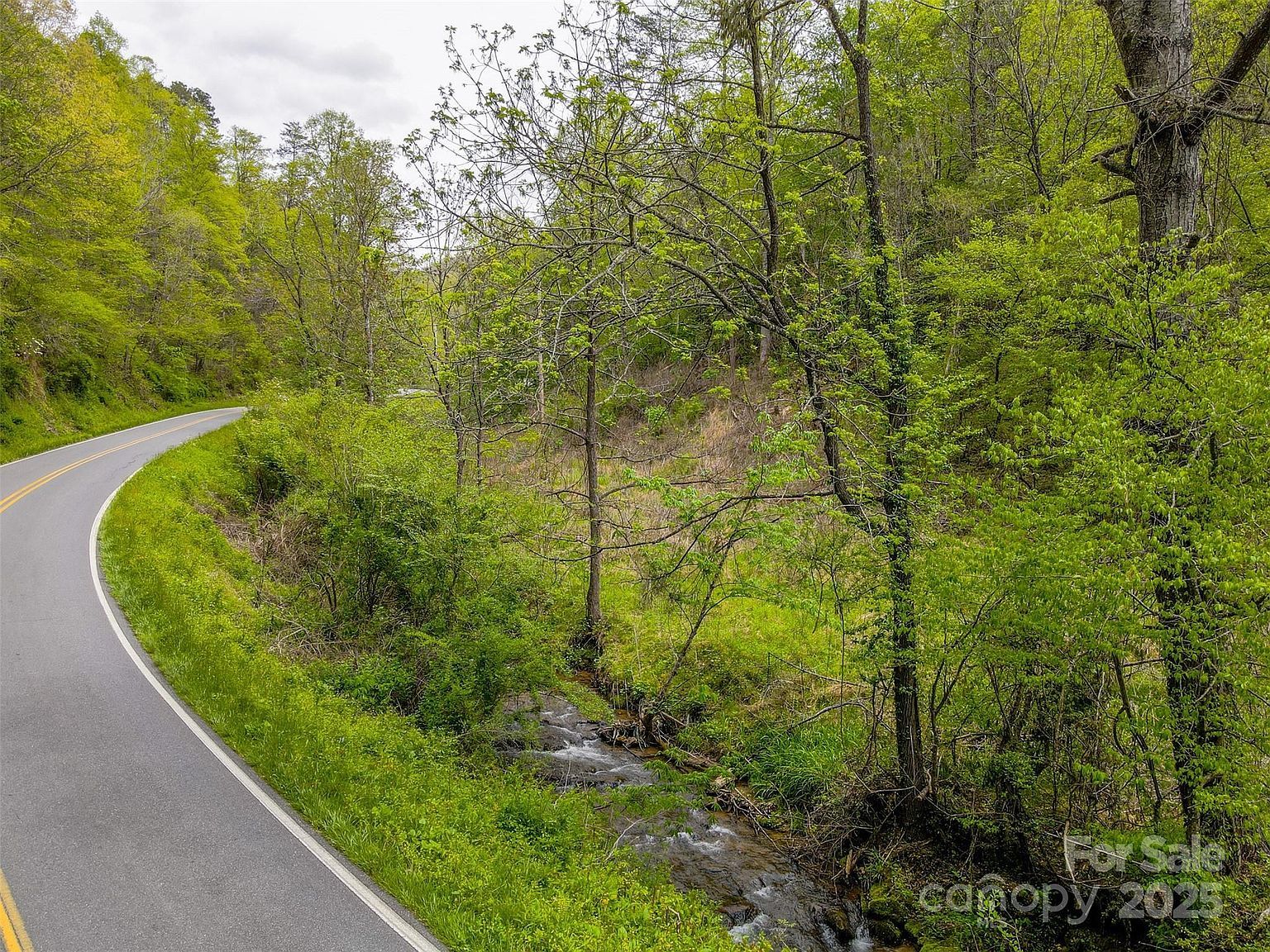 2360 Wayehutta Rd Cullowhee, NC 28723 - Thumbnail 4