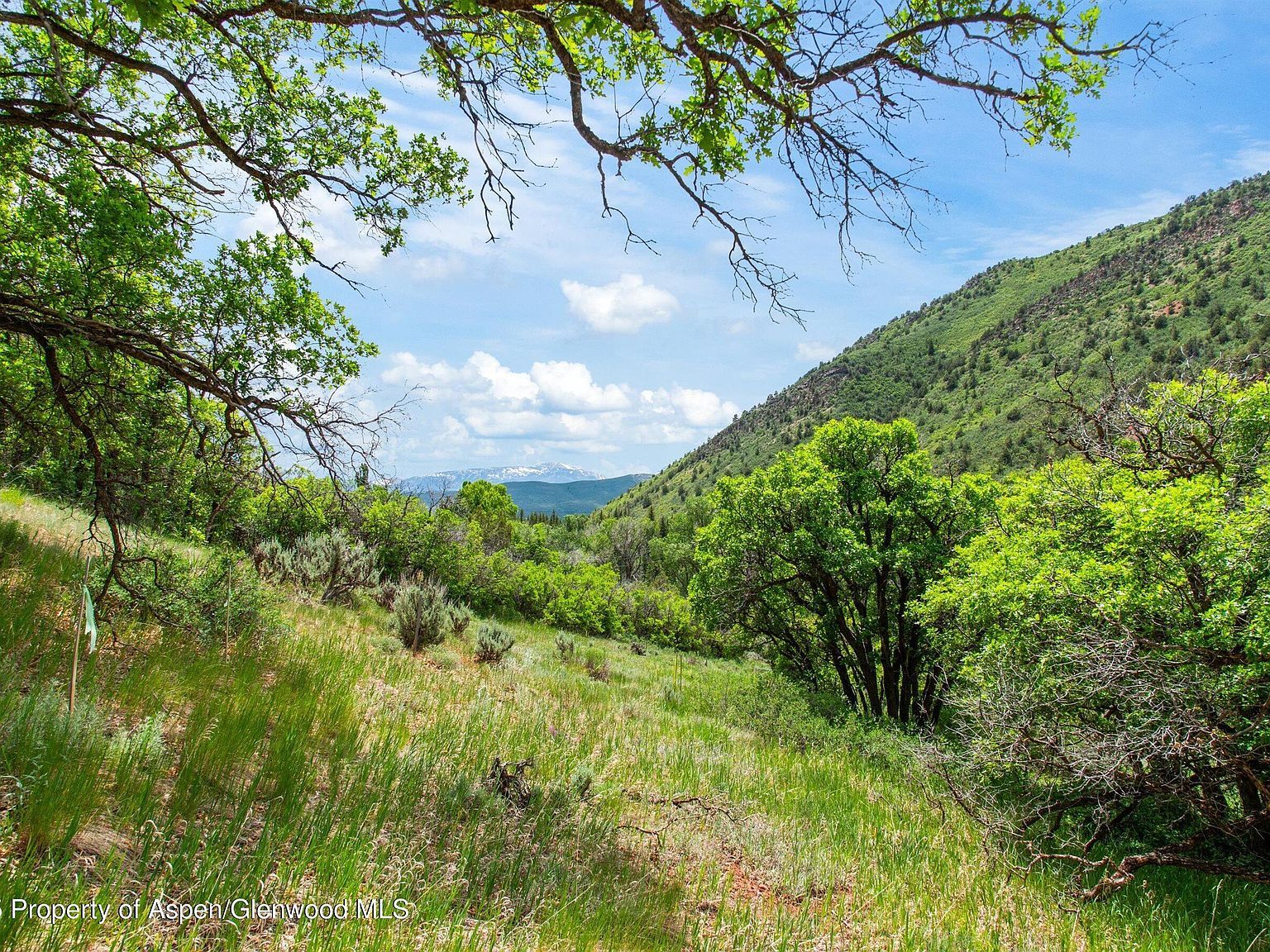 354 Snowmass Creek Rd Snowmass, CO 81654 - Thumbnail 4