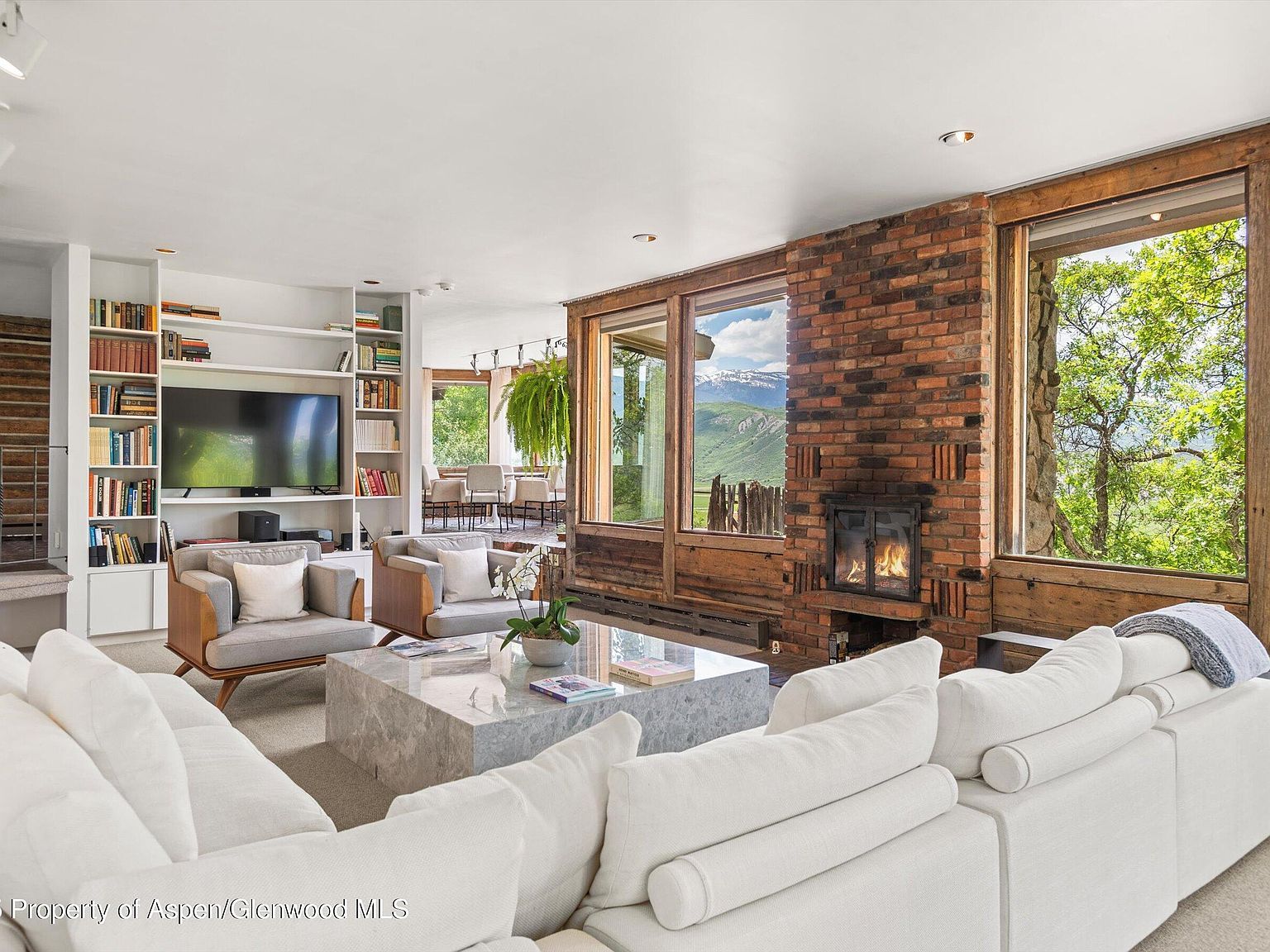 260 Star Mesa Rd Aspen, CO 81611 - Thumbnail 4