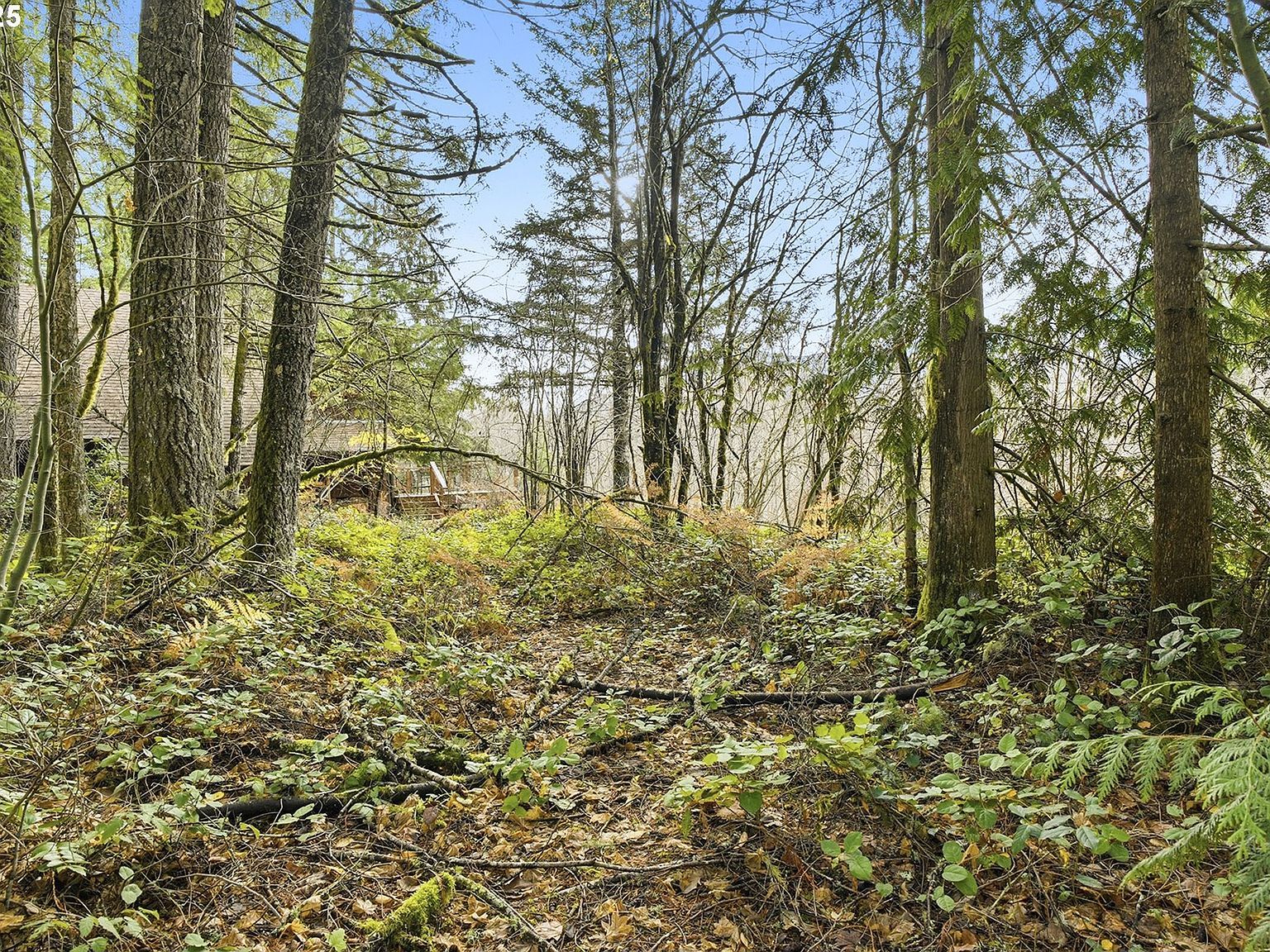 65344 E Sandy River Ln Rhododendron, OR 97049 - Thumbnail 4