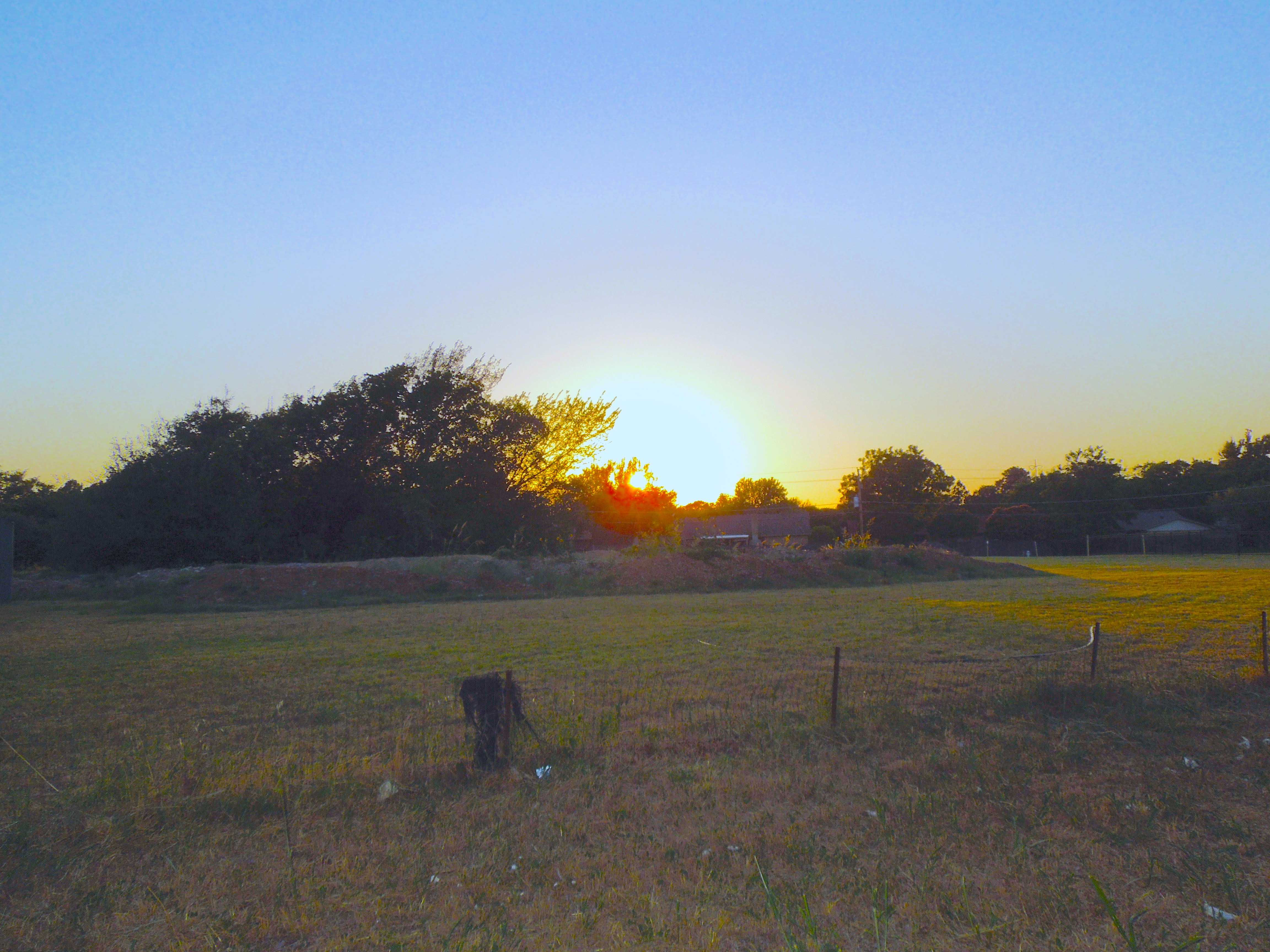 3702 Morris Lane, Arlington, TX, USA, 76016 - Thumbnail 4