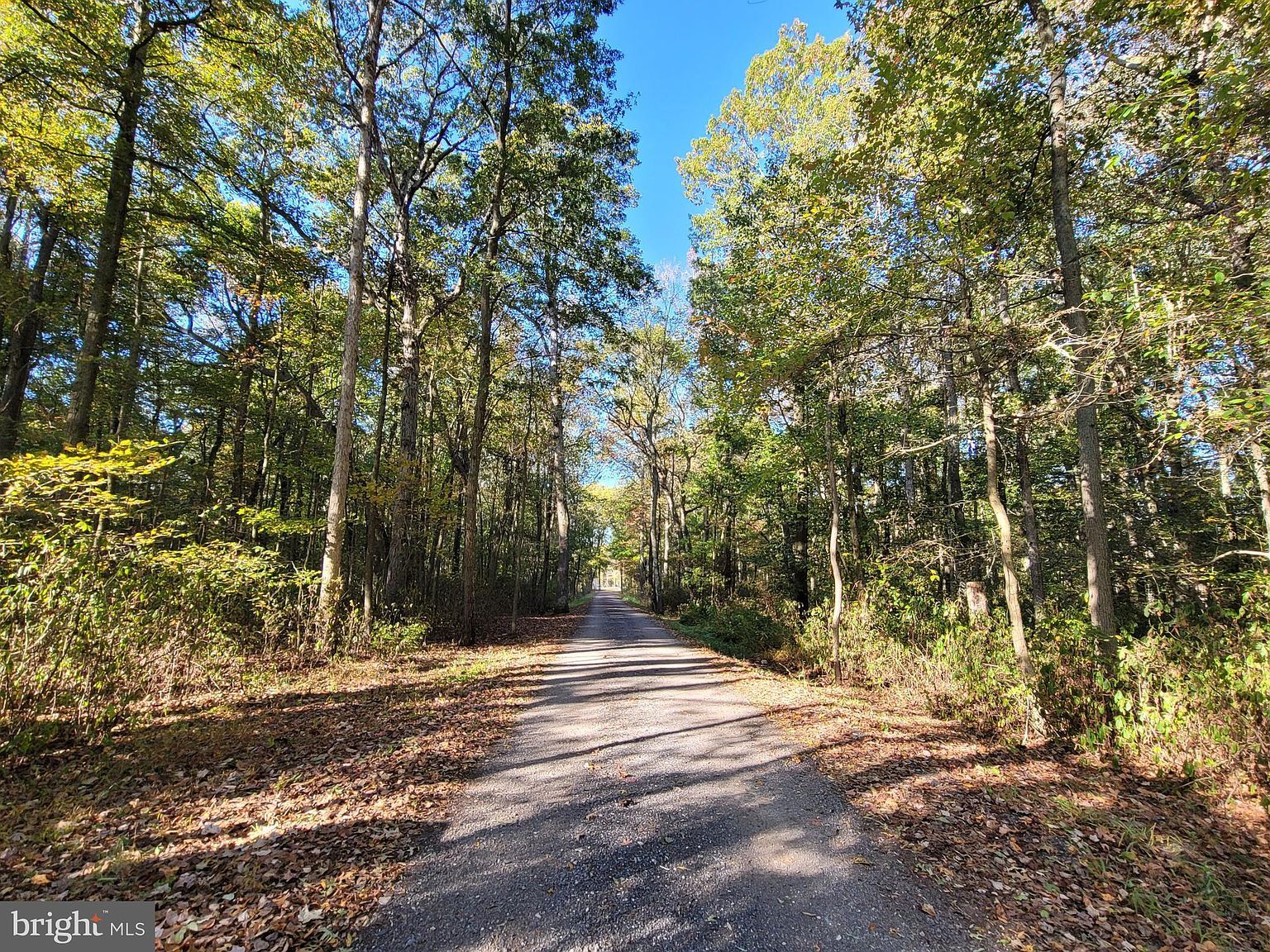 Burrisville Rd Centreville, MD 21617 - Thumbnail 4