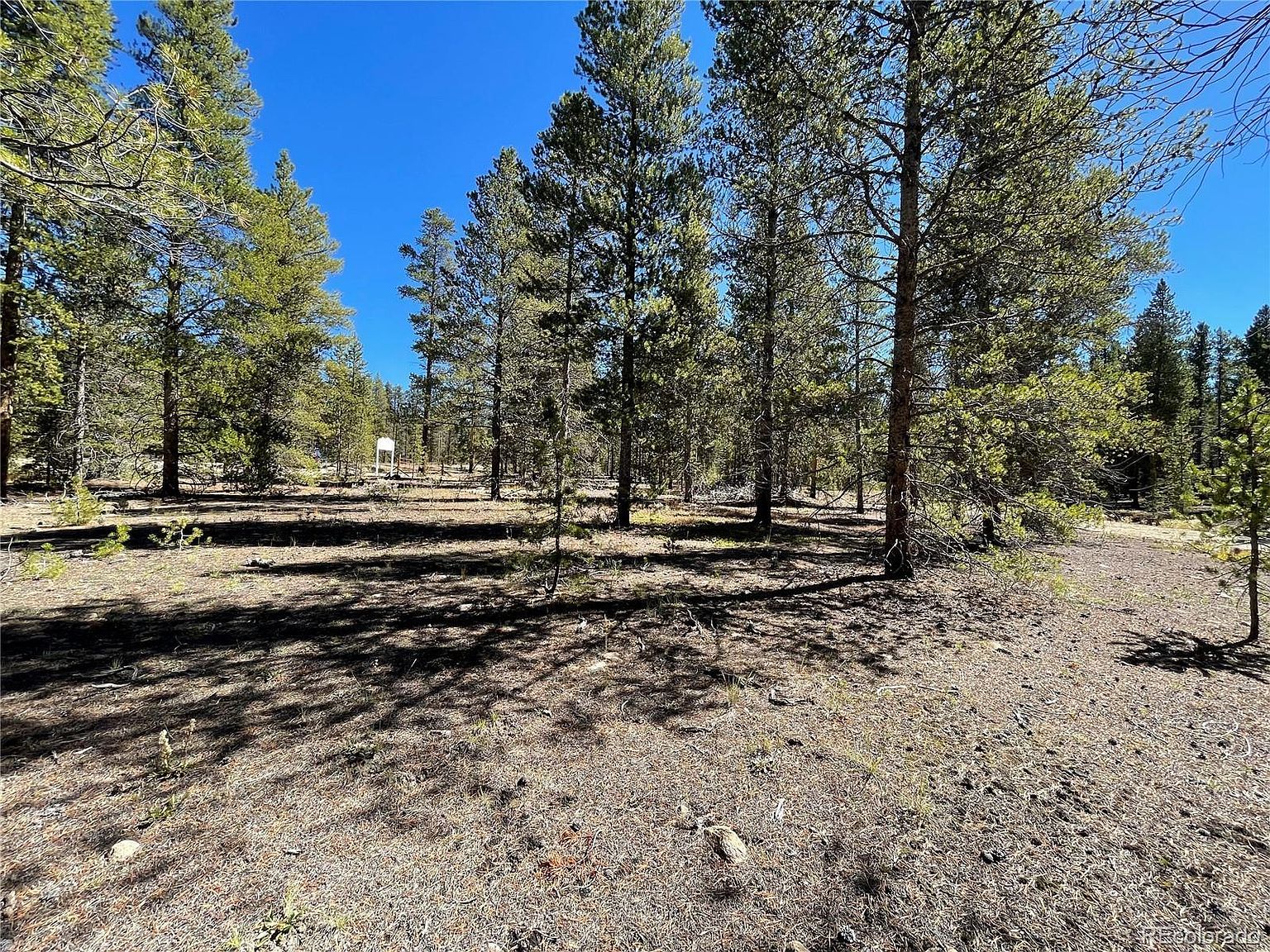 100 Virginia Ave Leadville, CO 80461 - Thumbnail 4