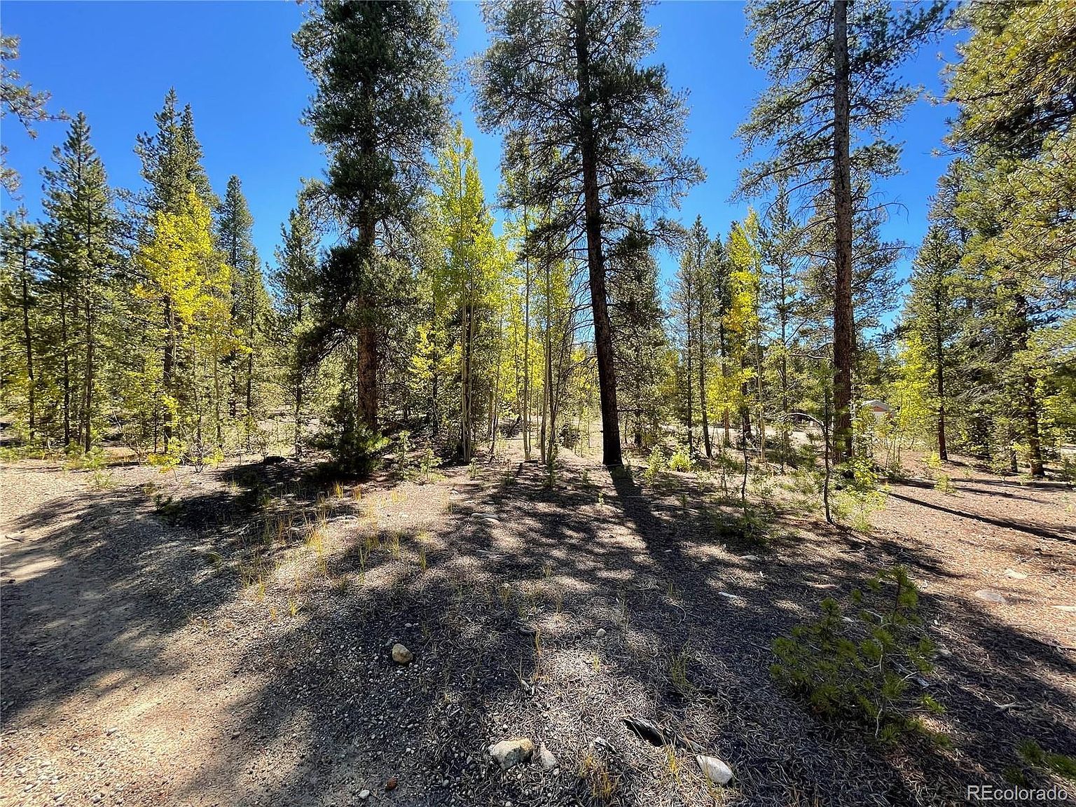 200 Virginia Ave Leadville, CO 80461 - Thumbnail 4