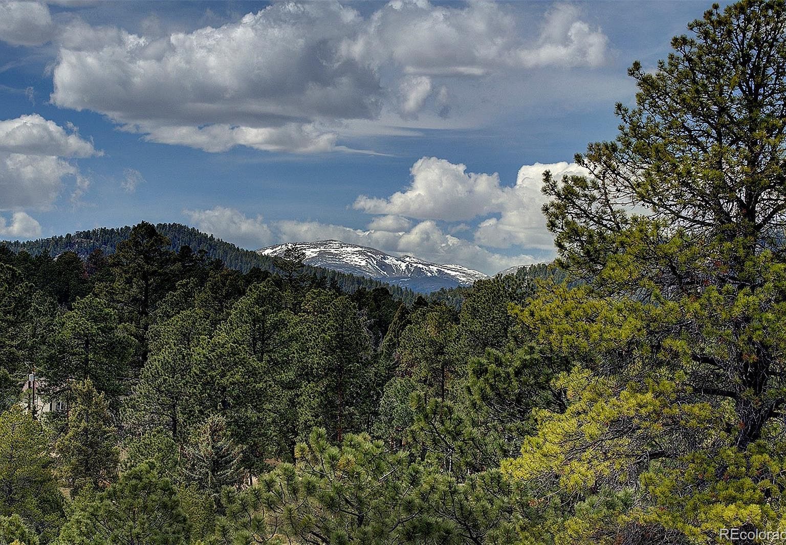 27987 Richmond Hill Rd Conifer, CO 80433 - Thumbnail 4
