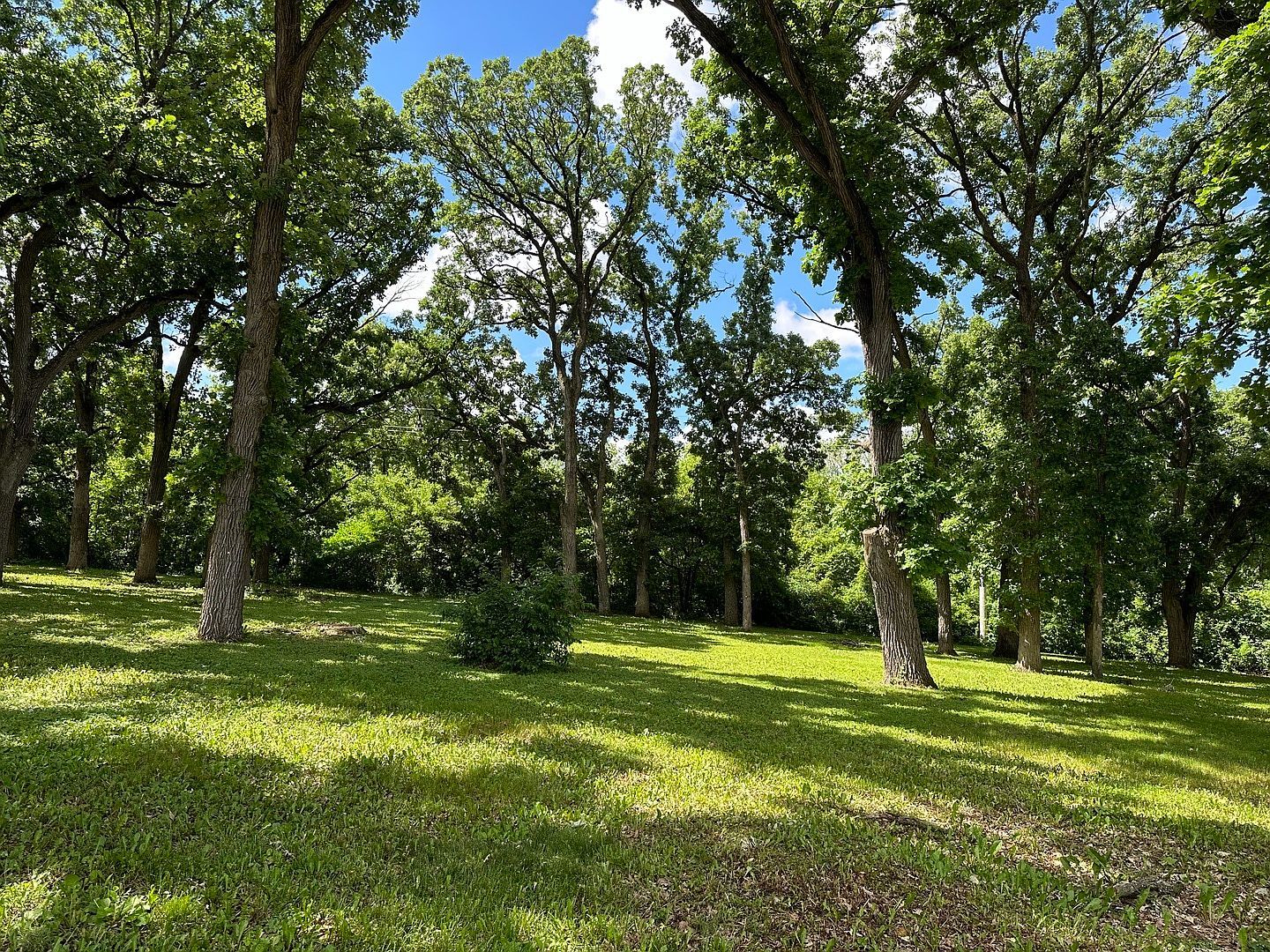 12390 Oakcrest Dr Huntley, IL 60142 - Thumbnail 4