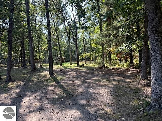7861 N Bass Lake Rd Irons, MI 49644 - Thumbnail 4