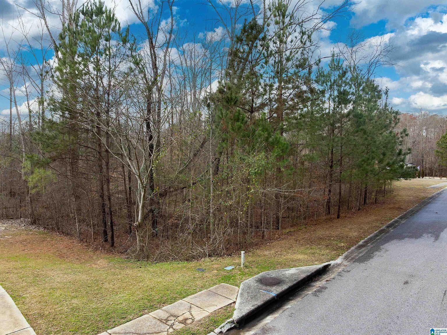 135 Glenstone Dr #16 Columbiana, AL 35051 - Thumbnail 4