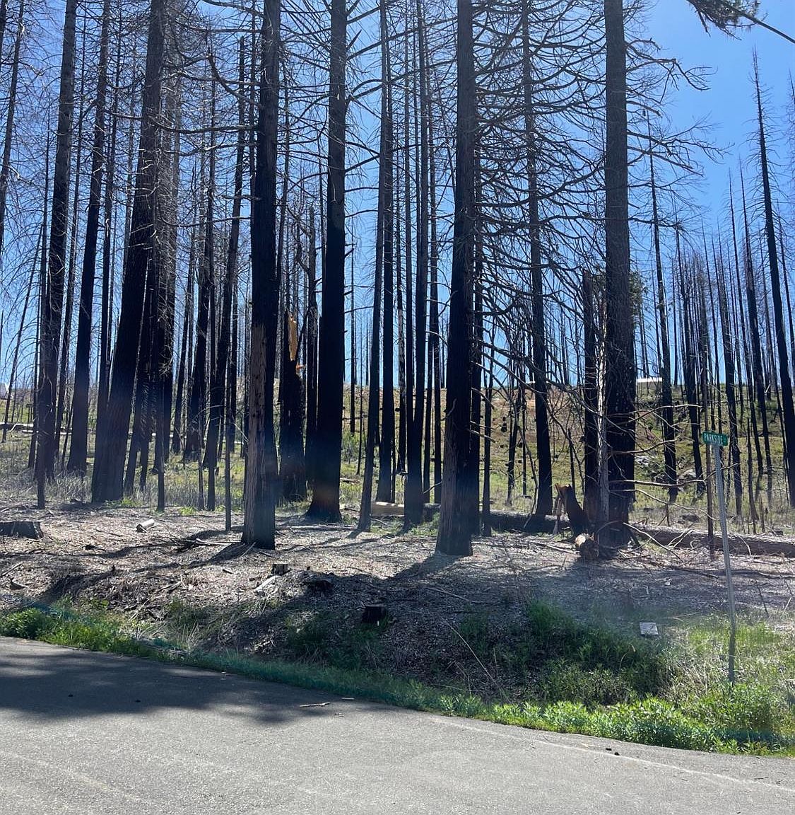 5106 Parkside Dr Grizzly Flats, CA 95636 - Thumbnail 4