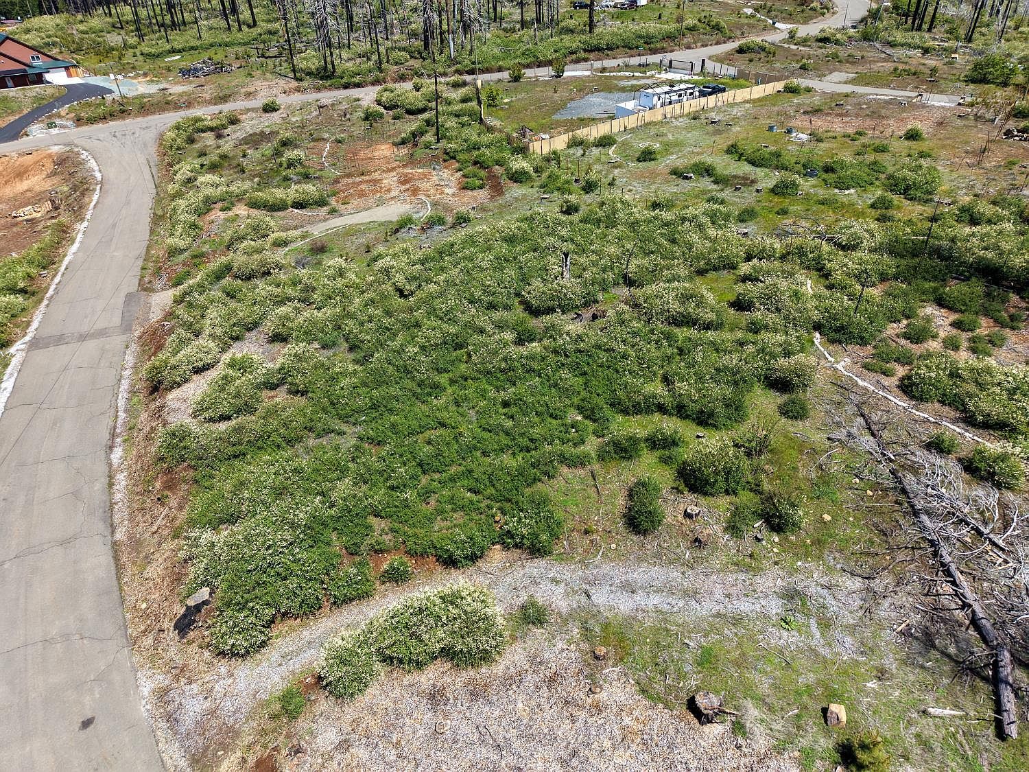 4929 Edgewood Cir Grizzly Flats, CA 95636 - Thumbnail 4