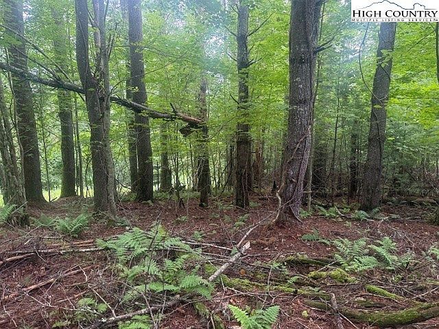 Tbd Beaver Creek Dr West Jefferson, NC 28694 - Thumbnail 4