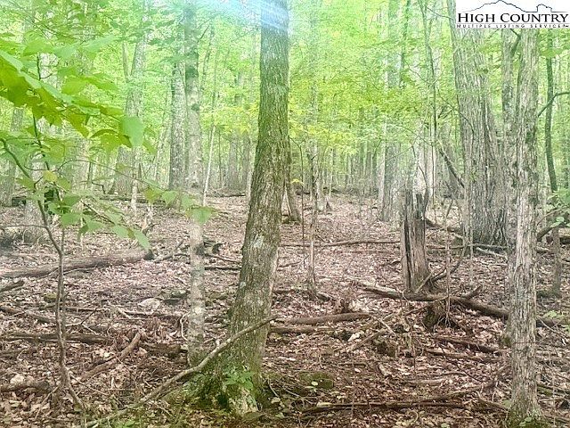 Tbd Winter St Jefferson, NC 28640 - Thumbnail 4