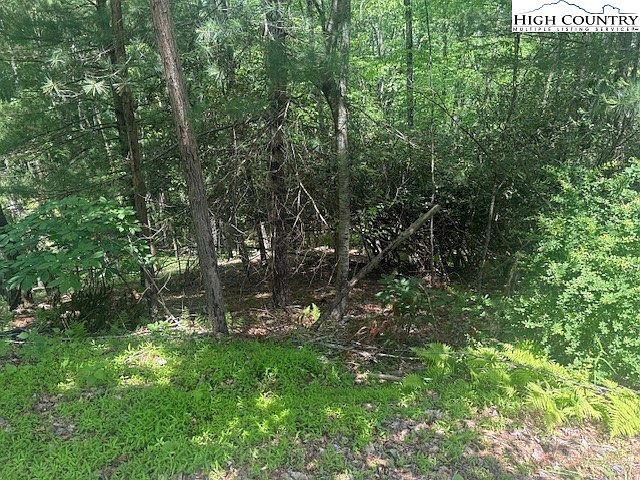 Deerwood Rd #58 Sparta, NC 28675 - Thumbnail 4