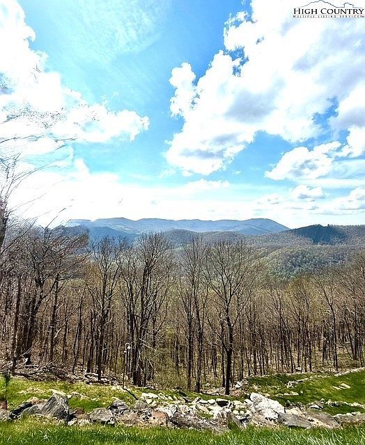 LOT 38 Crown Spruce Ln West Jefferson, NC 28694 - Thumbnail 4