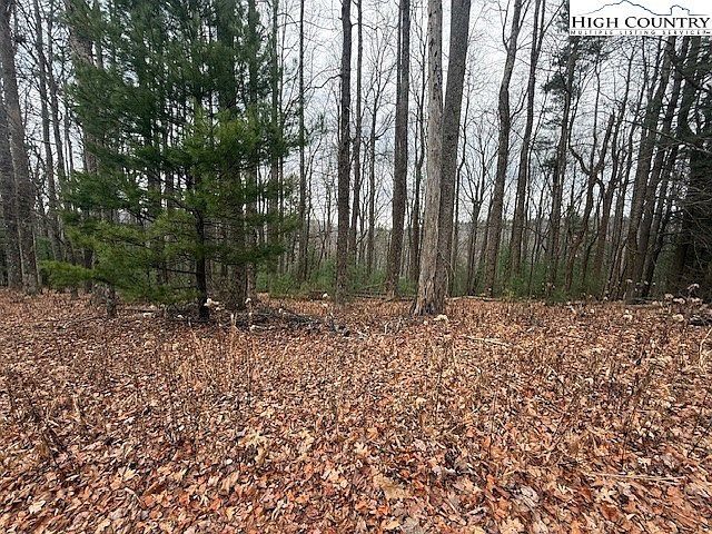 Jobs Rd Laurel Springs, NC 28644 - Thumbnail 4