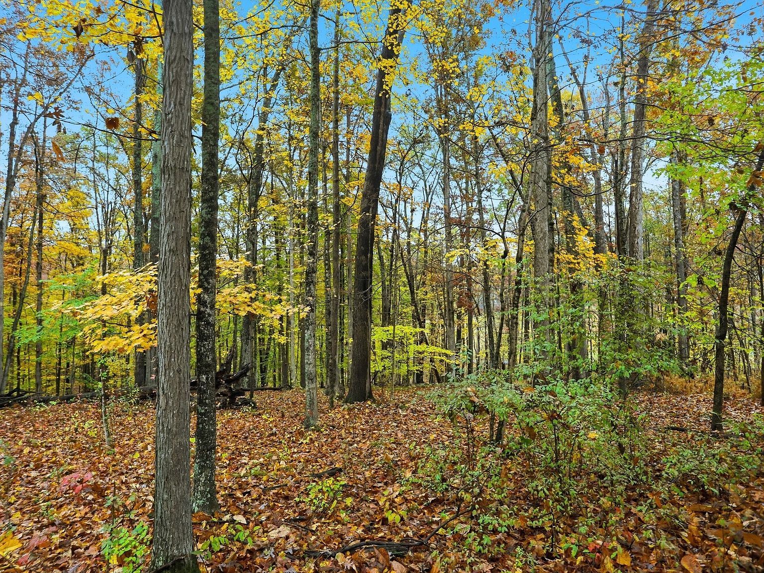 20 Ridgeway Dr Nashville, IN 47448 - Thumbnail 4