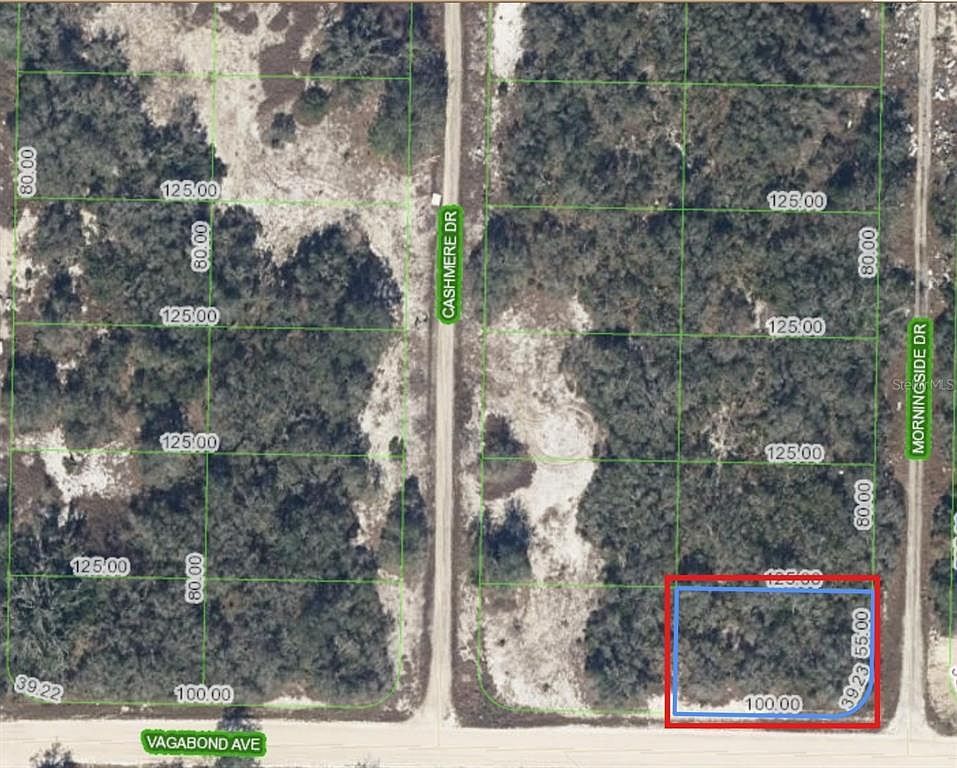 130 Vagabond Ave Lot 1 Lake Placid, FL 33852 - Thumbnail 4