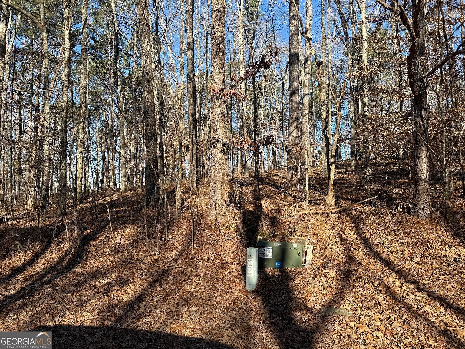 102 Brook Hollow Lake Trl Cumming, GA 30028 - Thumbnail 4