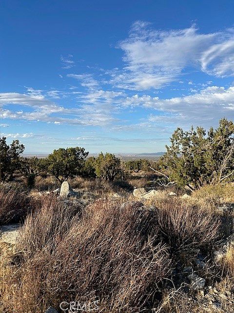 0 Yucca Rd LOT 27 Pinon Hills, CA 92372 - Thumbnail 4