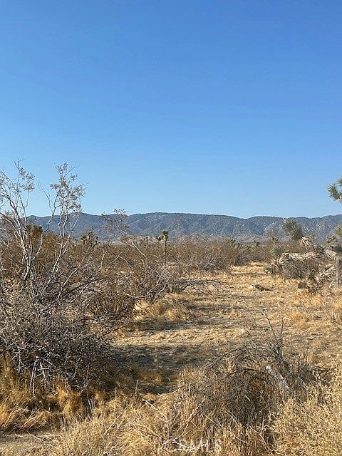 0 E Ave W #8 Palmdale, CA 93591 - Thumbnail 4