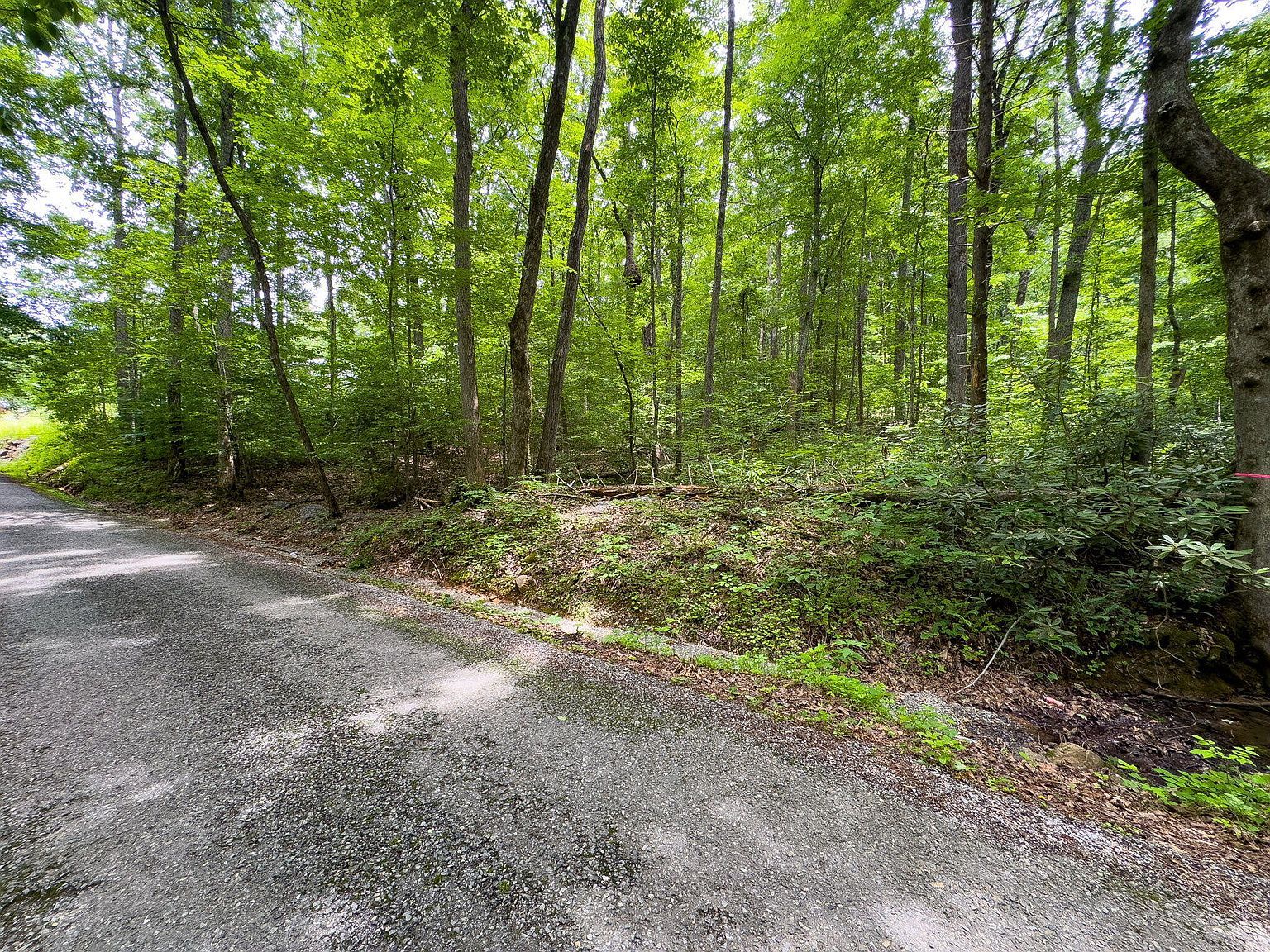 0 Hopkins Rd Cosby, TN 37722 - Thumbnail 4