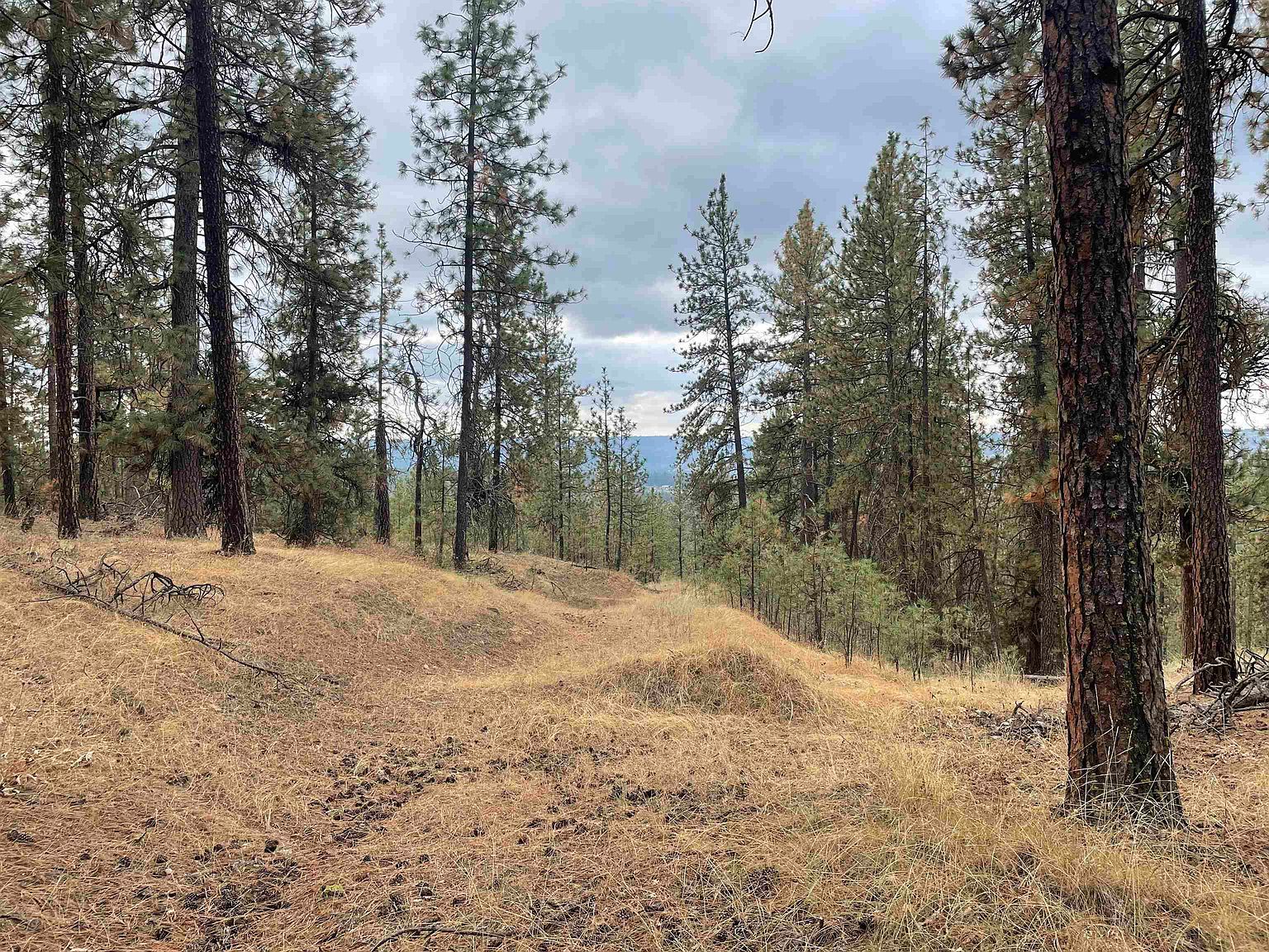 Nka Rocky Top Way Deer Park, WA 99006 - Thumbnail 4