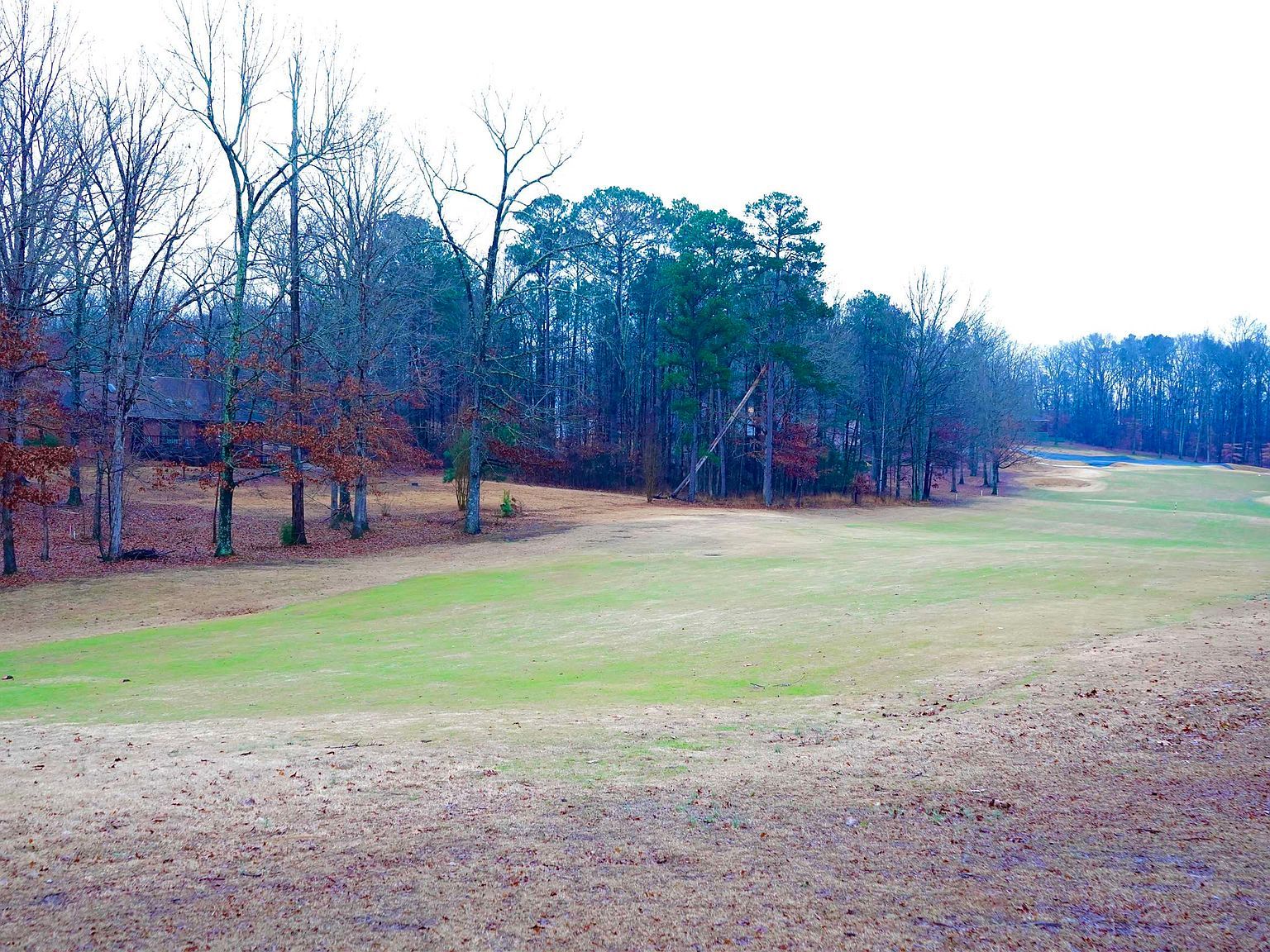 170 Ping Hill Cv Counce, TN 38326 - Thumbnail 4