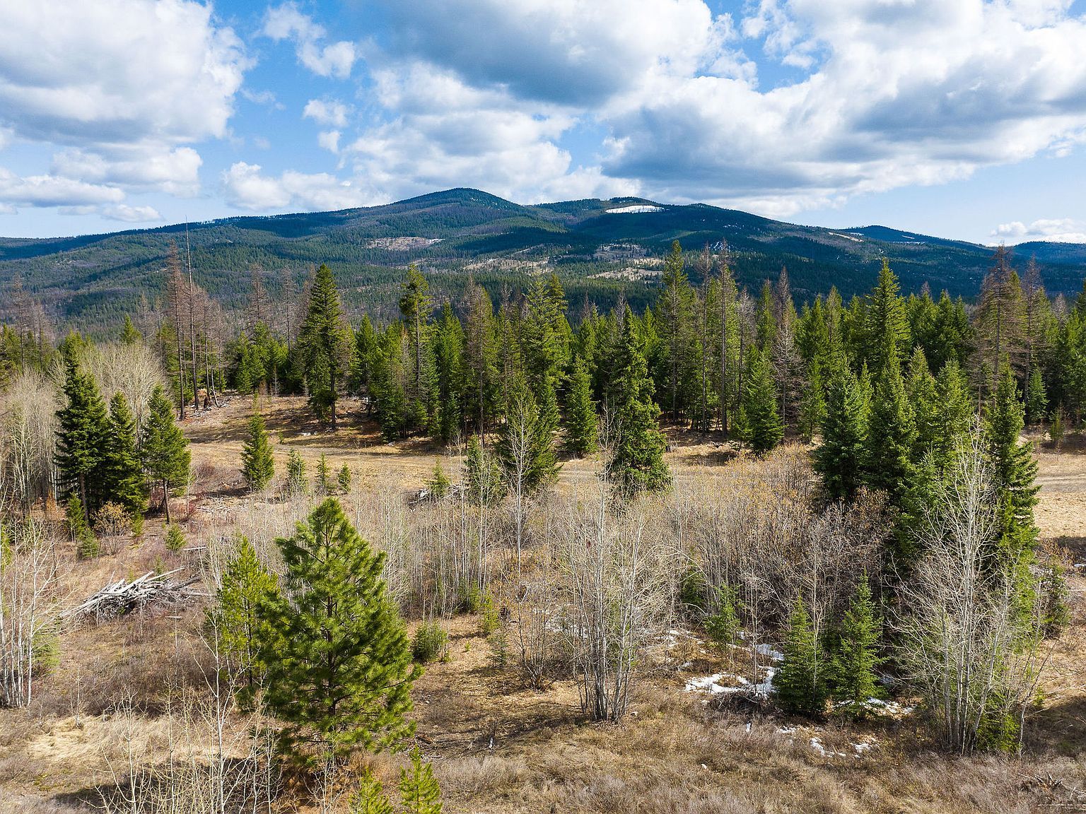 991 Haskill Ranch Rd Kila, MT 59920 - Thumbnail 4