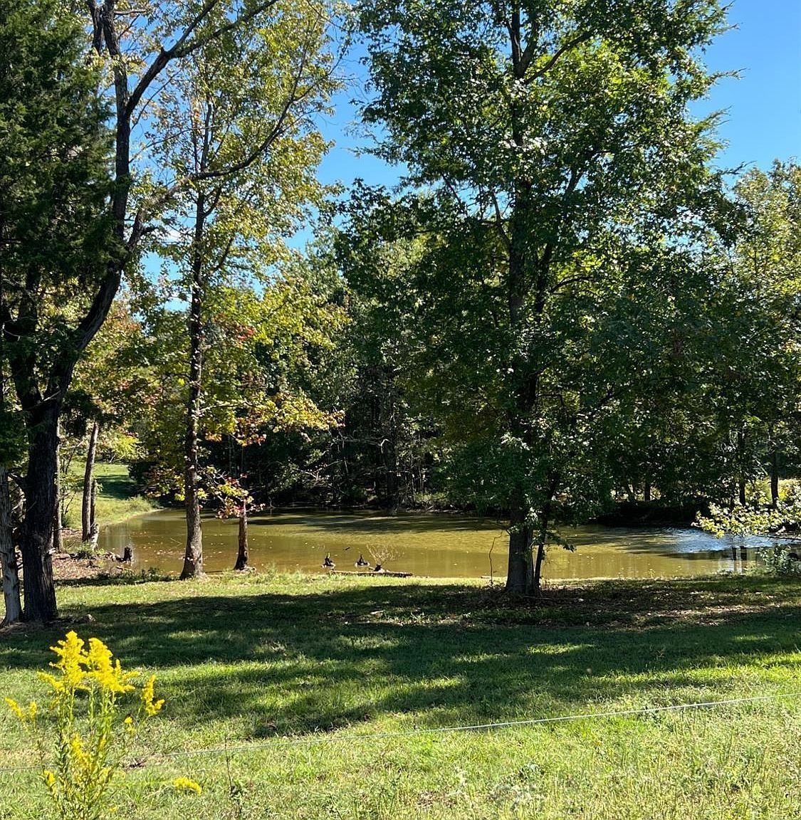 (undisclosed Address) Jonesboro, AR 72401 - Thumbnail 4