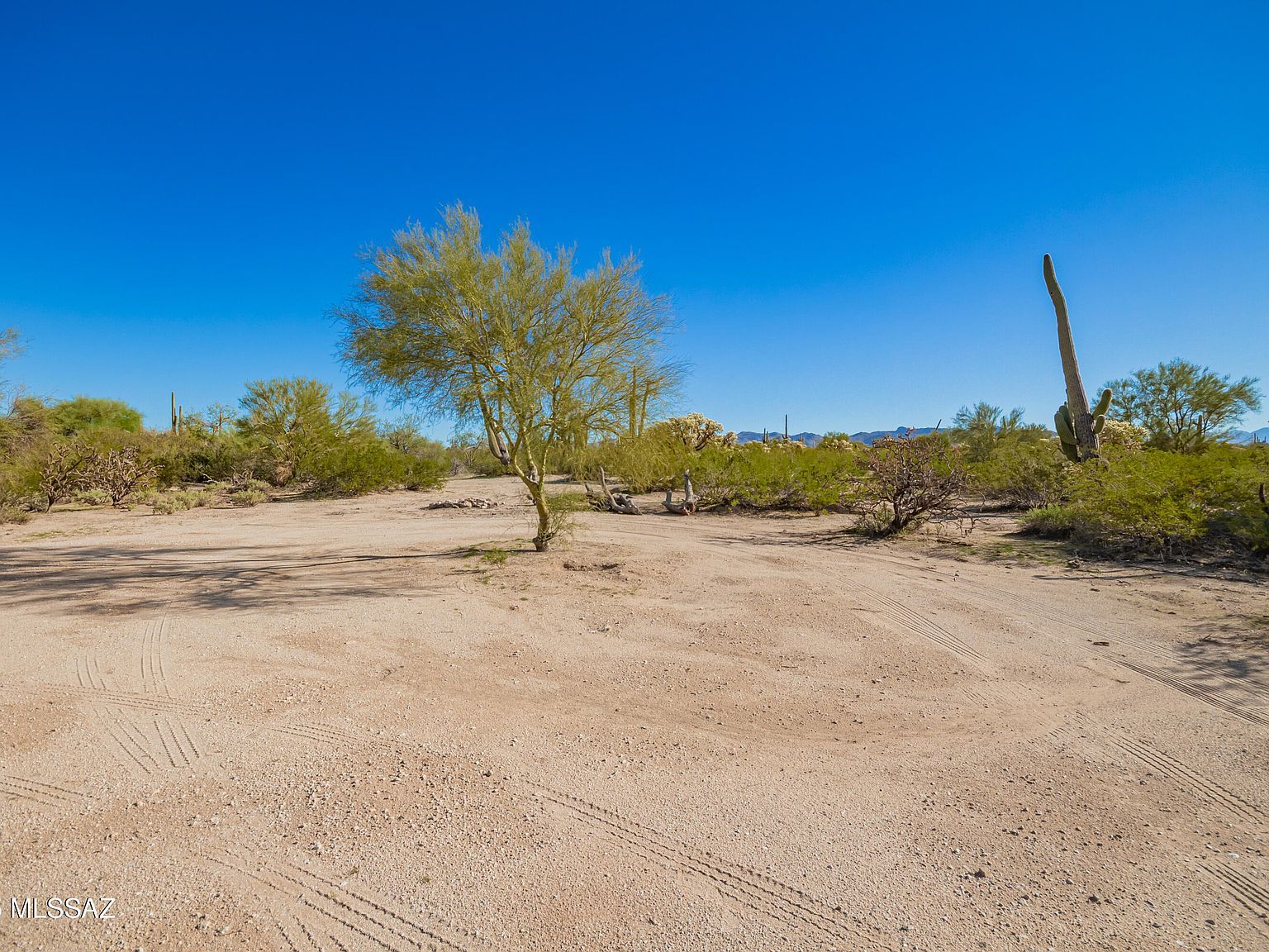 40679 S Staghorn Ln #E Marana, AZ 85658 - Thumbnail 4