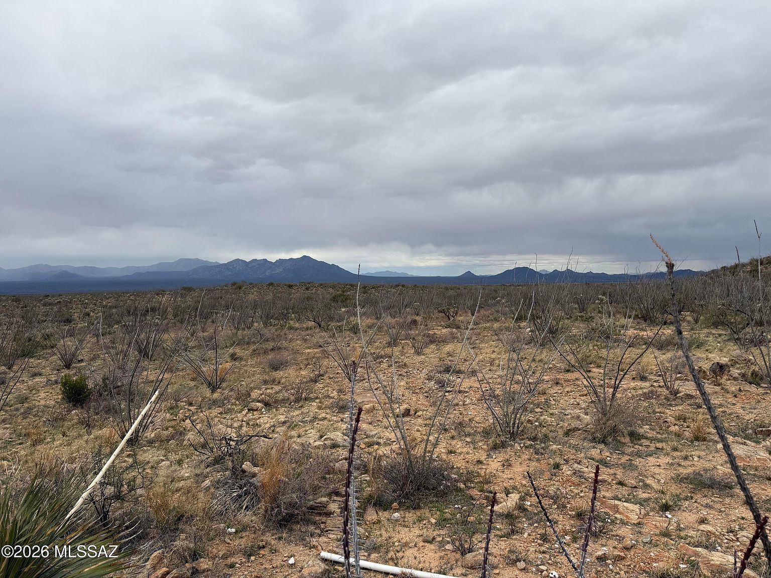 16300 S Alsip St Tucson, AZ 85736 - Thumbnail 4