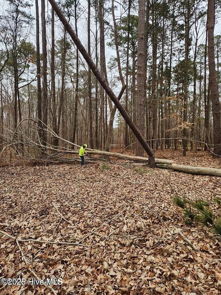 146 Tranquility Ln Lot 43 Hertford, NC 27944 - Thumbnail 4