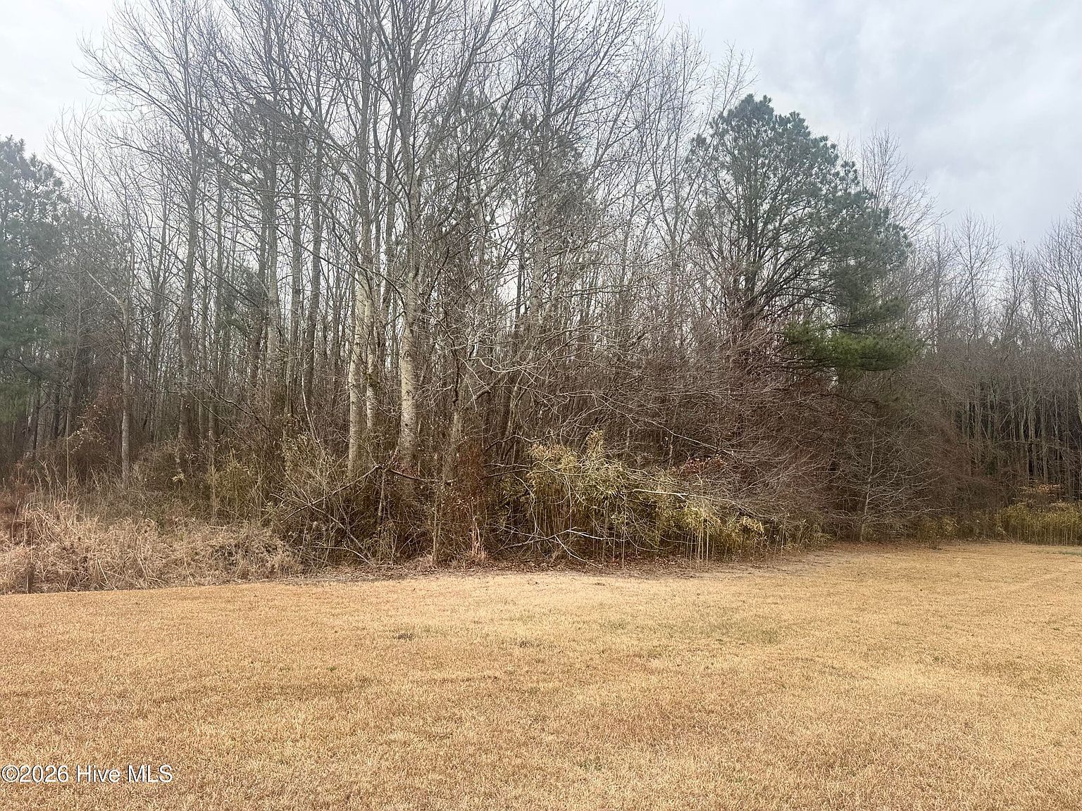 0 Center Hill Hwy Hertford, NC 27944 - Thumbnail 4