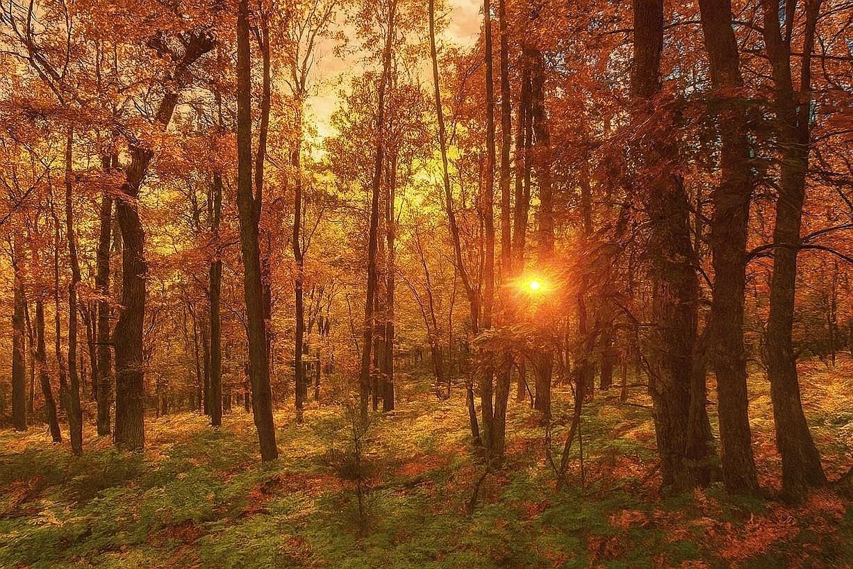 9 Power Line Rd Iron River, WI 54847 - Thumbnail 4