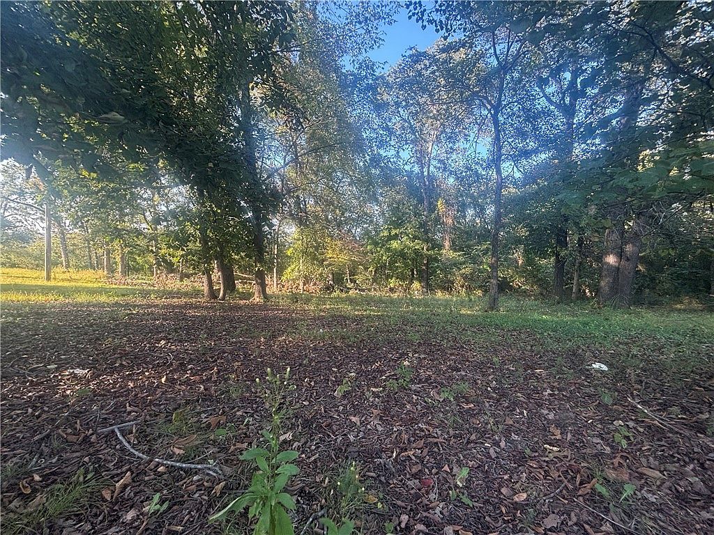 Harding Blvd #31-19-14 Cotter, AR 72626 - Thumbnail 4