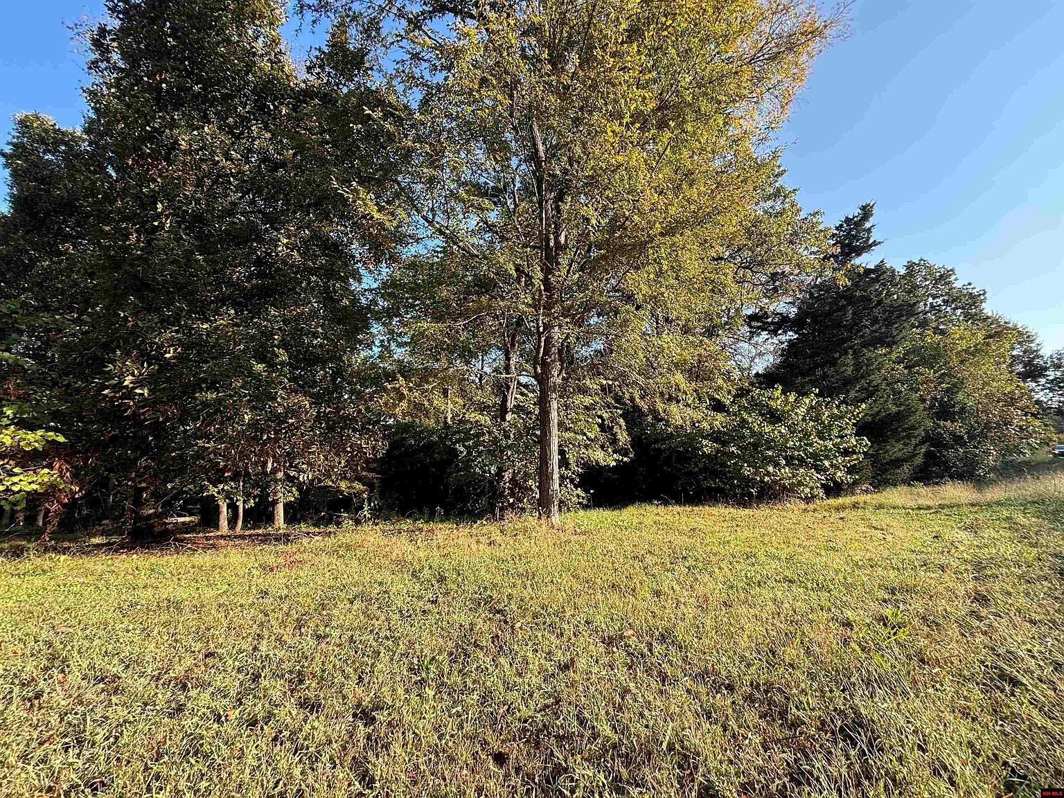 004-00426-001 Harding Blvd Cotter, AR 72626 - Thumbnail 4