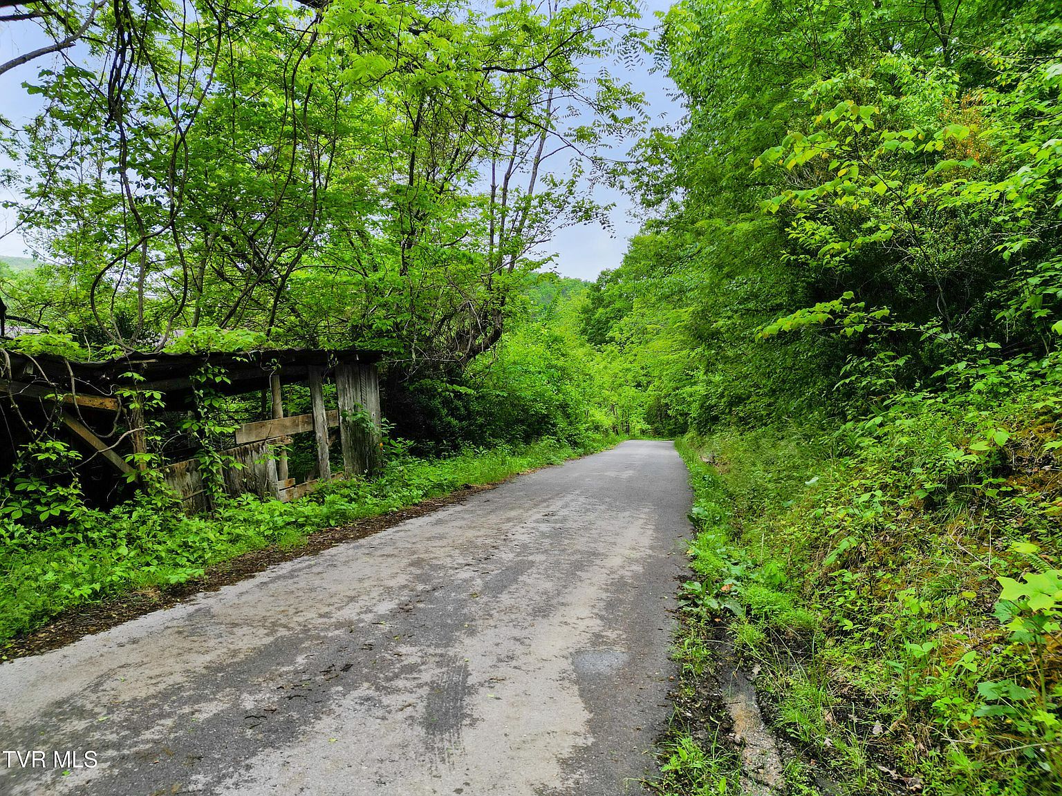 Paint Mountain Rd Greeneville, TN 37743 - Thumbnail 4