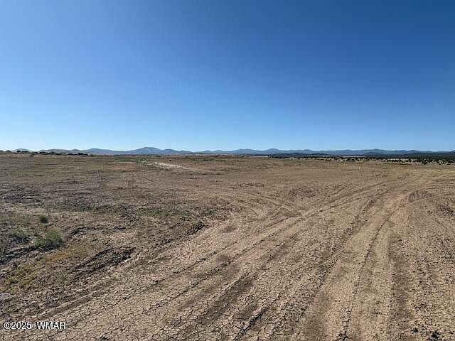 54 County Road 8001 Concho, AZ 85924 - Thumbnail 4