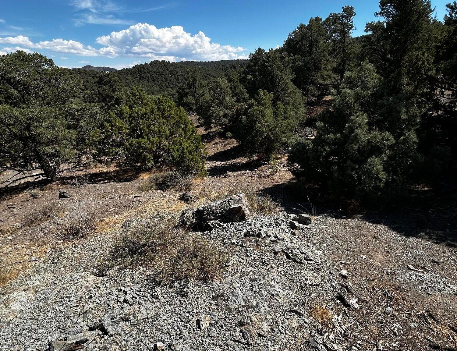 2035 Silverado Rd Reno, NV 89521 - Thumbnail 4