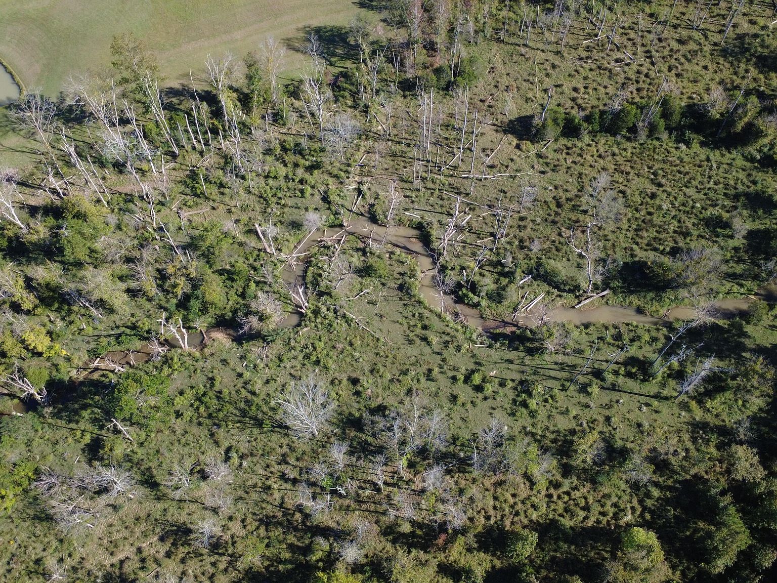 0 No Pone Valley Rd NW Georgetown, TN 37336 - Thumbnail 4