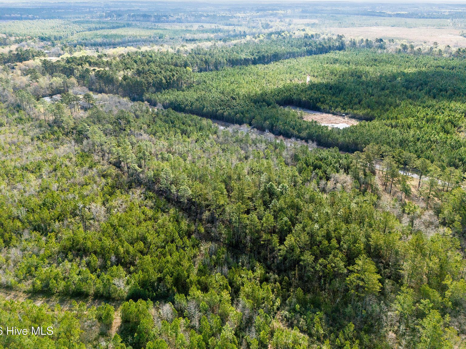 282 Hardy Graham Rd Maple Hill, NC 28454 - Thumbnail 4