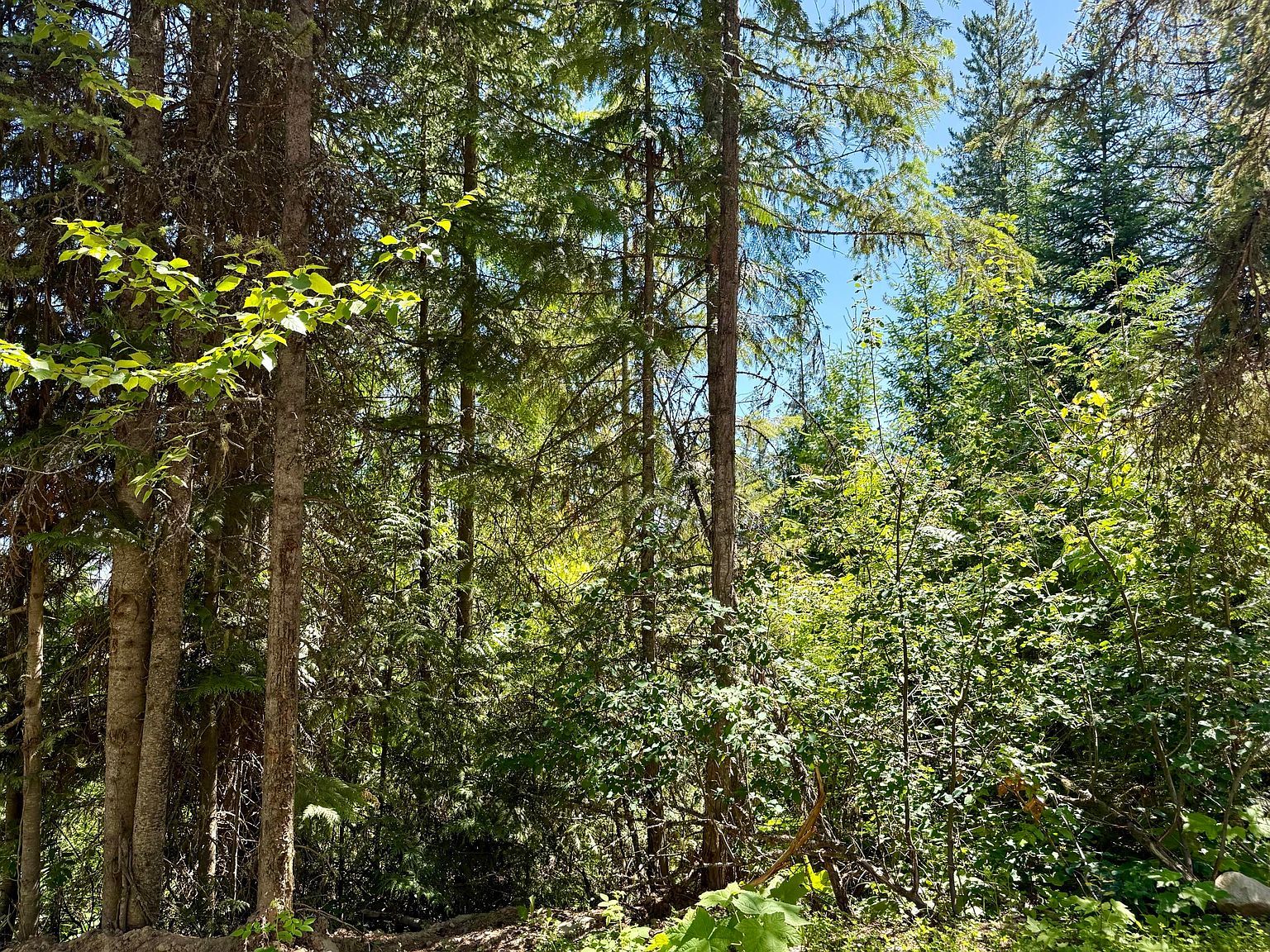 Perelandra Cir Lot 36 Danville, WA 99121 - Thumbnail 4
