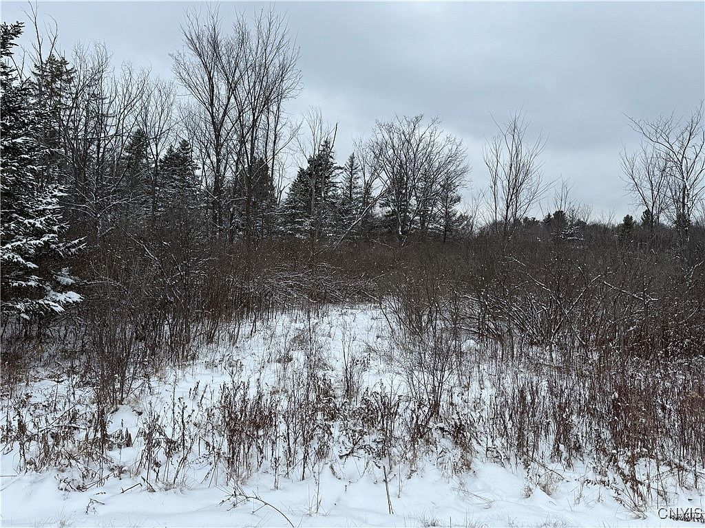 Eddy Rd LOT 2 Theresa, NY 13691  | Land/Lot